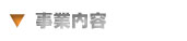 ���Ɠ��e
