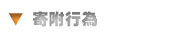 �񕍍s��